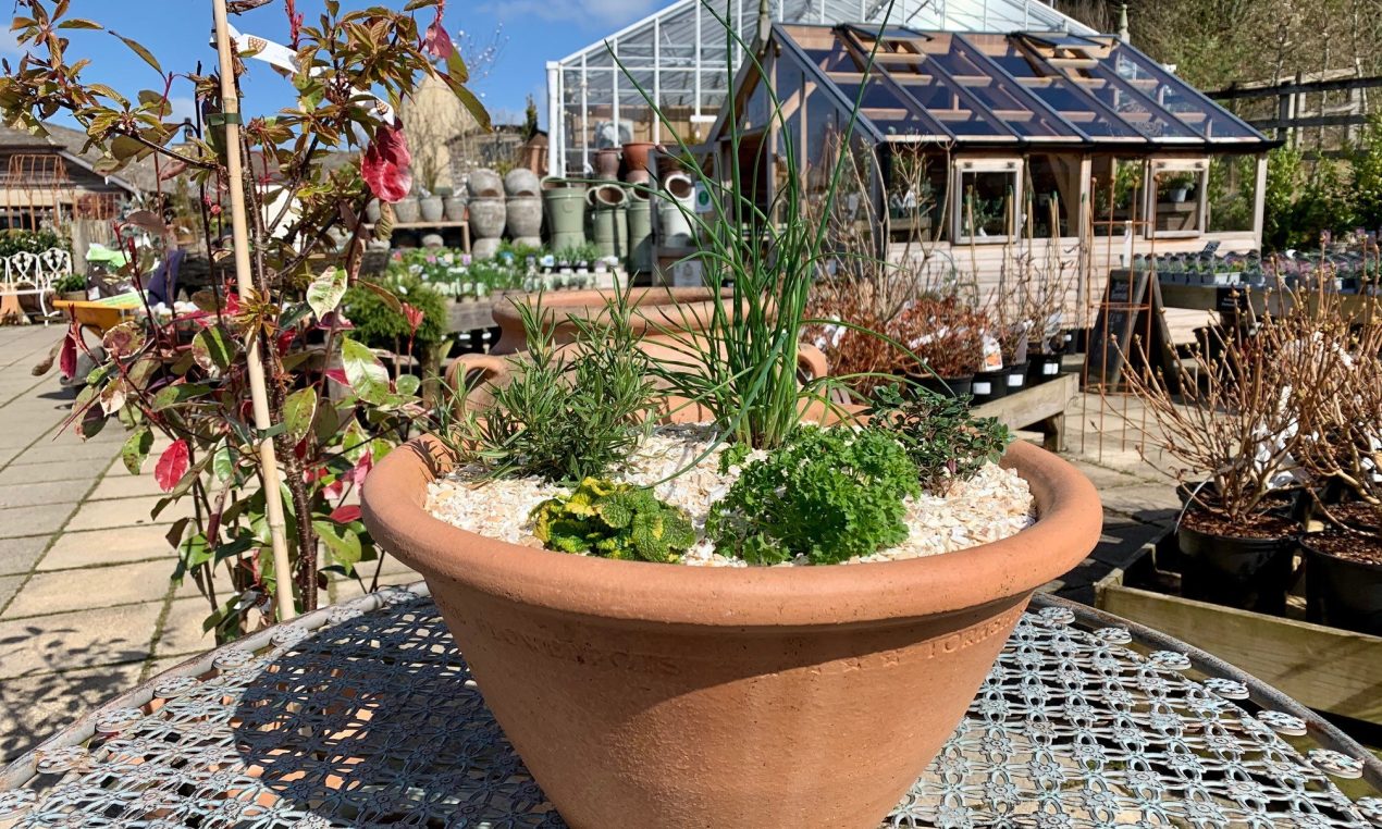 How to create a herb planter