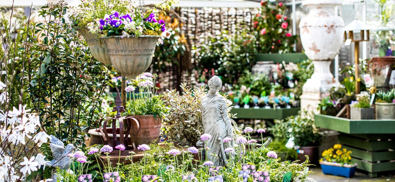 Hanging baskets, statues and spring flowers at the Duchy Nursery.