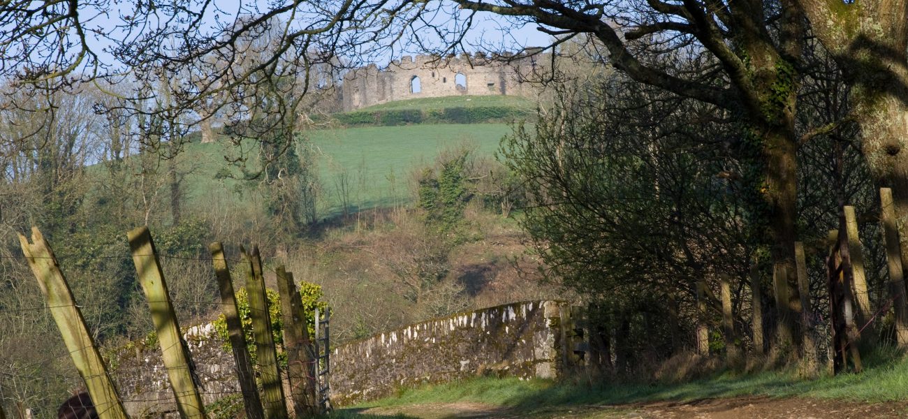 Tree-lined track leading towards a hill with Restormel Castle at the top.