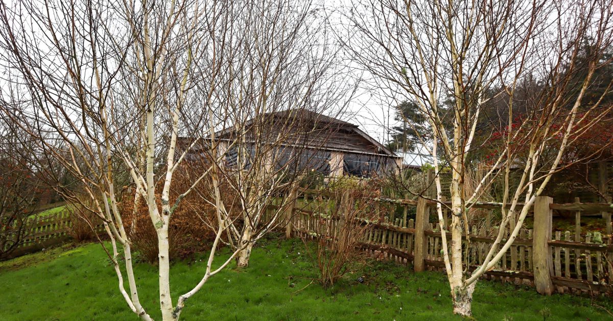 Notes from the nursery gardens - this month we write about winter ...
