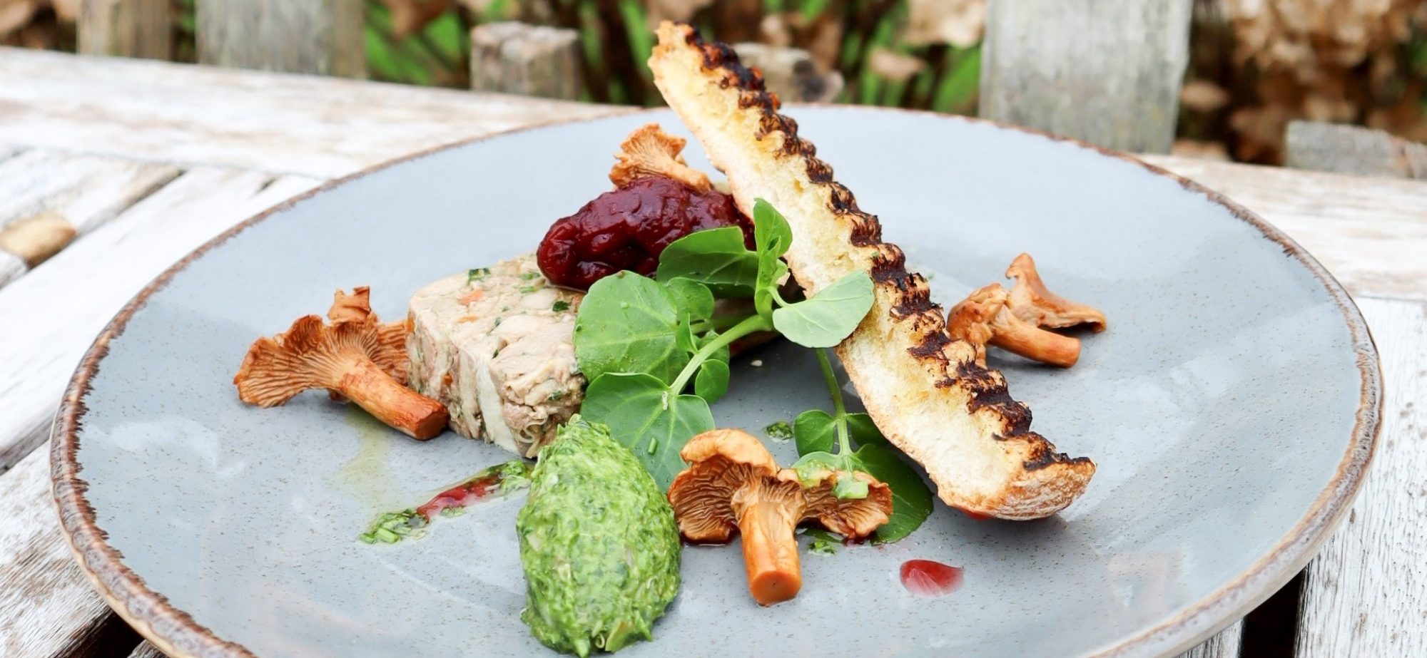 Lanhydrock Pheasant Terrine, Cranberry Compote, Pickled Girolles