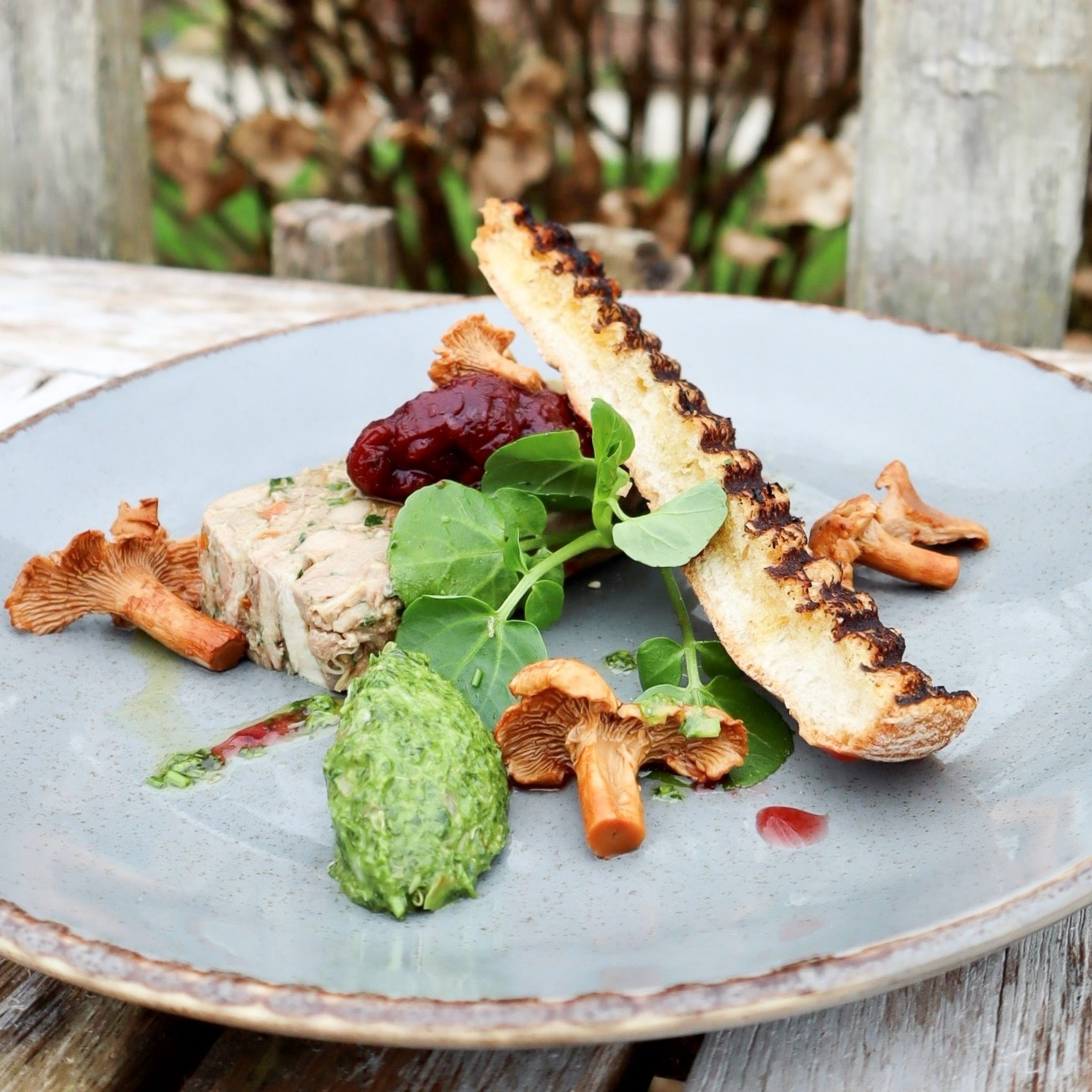 Lanhydrock Pheasant Terrine, Cranberry Compote, Pickled Girolles