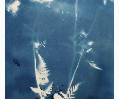 Cyanotype Workshop - Afternoon Session