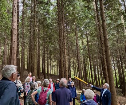 Spring Woodland Walk with Geraint Richards